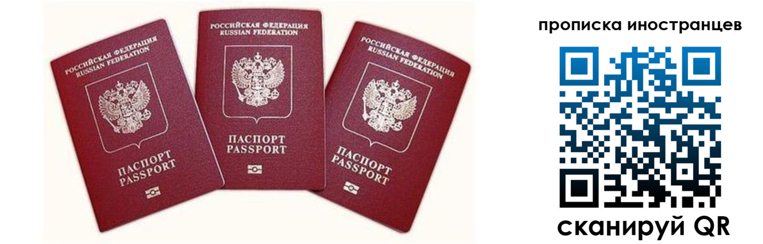 прописка в Новосибирской области